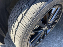 Thumbnail image of 2023 Toyota Camry at Glen Toyota