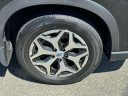 Thumbnail image of 2021 Subaru Forester at South Shore Subaru