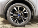 Thumbnail image of 2022 Ford Escape at Germain Ford of Columbus New