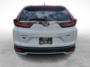 Thumbnail image of 2022 Honda CR-V at Lynnes Nissan City Inc