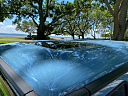 Thumbnail image of 2021 Mercedes-Benz G-Class at South Tampa Auto Boutique, LLC