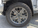 Thumbnail image of 2024 Jeep Wrangler at JenkinsVolkswagen of Leesburg, FL