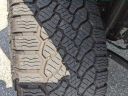 Thumbnail image of 2024 Jeep Wrangler at JenkinsVolkswagen of Leesburg, FL
