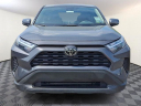 Thumbnail image of 2023 Toyota RAV4 at Conicelli Toyota of Springfield - NEW