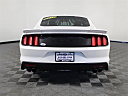 Thumbnail image of 2017 Ford Mustang at Elder Ford of Tampa