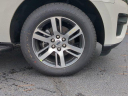 Thumbnail image of 2024 Ford Expedition MAX at CourtesyFordLincolnOfRome-New of Rome, GA
