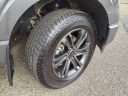 Thumbnail image of 2021 Ford F-150 at Mcfarland Ford Rochester