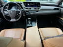 Thumbnail image of 2021 Lexus ES 250 at Lexus of Freeport