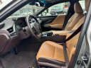 Thumbnail image of 2021 Lexus ES 250 at Lexus of Freeport
