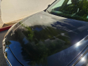 Thumbnail image of 2014 BMW 3 Series at LA Fine Motors