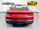 Thumbnail image of 2024 Ford Mustang at CampbellChryslerDodgeJeepRam - New