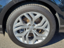 Thumbnail image of 2023 Land Rover Range Rover Evoque at Piazza Jaguar Land Rover Willow Grove