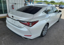 Thumbnail image of 2020 Lexus ES 350 at Antwerpen VW - USED