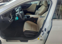 Thumbnail image of 2020 Lexus ES 350 at Antwerpen VW - USED