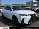 2022 Lexus UX 250h F SPORT at Lexus of Freeport