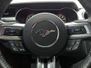 Thumbnail image of 2022 Ford Mustang at Expressway Ford Of Mount Vernon - NEW