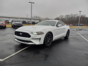 Thumbnail image of 2022 Ford Mustang at Expressway Ford Of Mount Vernon - NEW