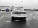 Thumbnail image of 2022 Ford Mustang at Expressway Ford Of Mount Vernon - NEW