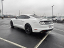 2022 Ford Mustang GT Premium at Expressway Ford Of Mount Vernon - NEW