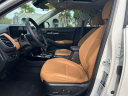 Thumbnail image of 2024 Kia Seltos at Kendall Dodge Chrysler Jeep Ram