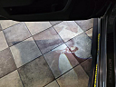 Thumbnail image of 2019 Dodge Charger at Mathews Nissan