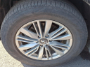 Thumbnail image of 2019 INFINITI QX80 at Maxon Hyundai Inc.