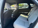 Thumbnail image of 2023 Lexus RX 350 at Lexus of Freeport