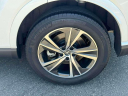 Thumbnail image of 2023 Lexus RX 350 at Lexus of Freeport