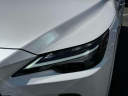 Thumbnail image of 2023 Lexus RX 350 at Lexus of Freeport