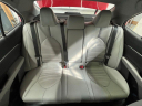 Thumbnail image of 2019 Toyota Camry at Hall Mazda Volkswagen