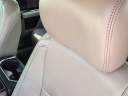 Thumbnail image of 2019 Ford F-150 at Glenn Polk CDJR Used