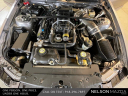 Thumbnail image of 2007 Ford Shelby GT500 at Nelson Mazda