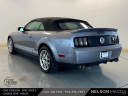 Thumbnail image of 2007 Ford Shelby GT500 at Nelson Mazda
