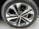 Thumbnail image of 2023 Jaguar F-PACE at Imperial Motors of Lake Bluff