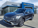 Thumbnail image of 2023 Hyundai SANTA FE at Pogue Chevrolet Buick Gmc