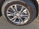 Thumbnail image of 2021 Cadillac XT5 at Brogan Cadillac of Totowa