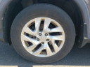 2015 Honda CR-V EX at Hamilton Honda