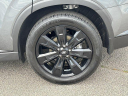 Thumbnail image of 2024 Hyundai PALISADE at LandmarkDCJRMorrow-NEW of Morrow, GA