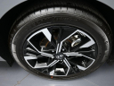 Thumbnail image of 2025 Hyundai SONATA at Plaza Honda