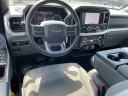 2023 Ford F-150 XLT at Crossroads Chevrolet