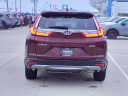 Thumbnail image of 2019 Honda CR-V at Serra Buick Gmc Champaign