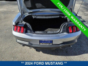 Thumbnail image of 2024 Ford Mustang at Sarasota Ford - New and Used