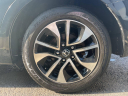 Thumbnail image of 2014 Honda Civic at Stallion Auto Group