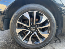 Thumbnail image of 2014 Honda Civic at Stallion Auto Group