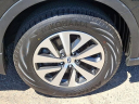 Thumbnail image of 2022 Subaru Outback at RichardLucasChevySubaru USED