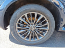 Thumbnail image of 2023 INFINITI QX80 at Circle Infiniti