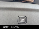 Thumbnail image of 2024 Cadillac Escalade-V at O'Malley Honda
