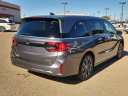 Thumbnail image of 2025 Honda Odyssey at Frank Brown Honda GMC