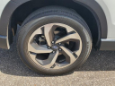 Thumbnail image of 2023 Subaru Forester at Cole Nissan