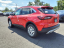 Thumbnail image of 2024 Ford Escape at Liccardi Ford Inc